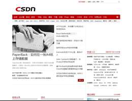 CSDN.NE网站缩略图