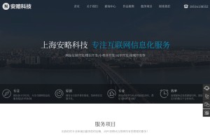 上海安略科技