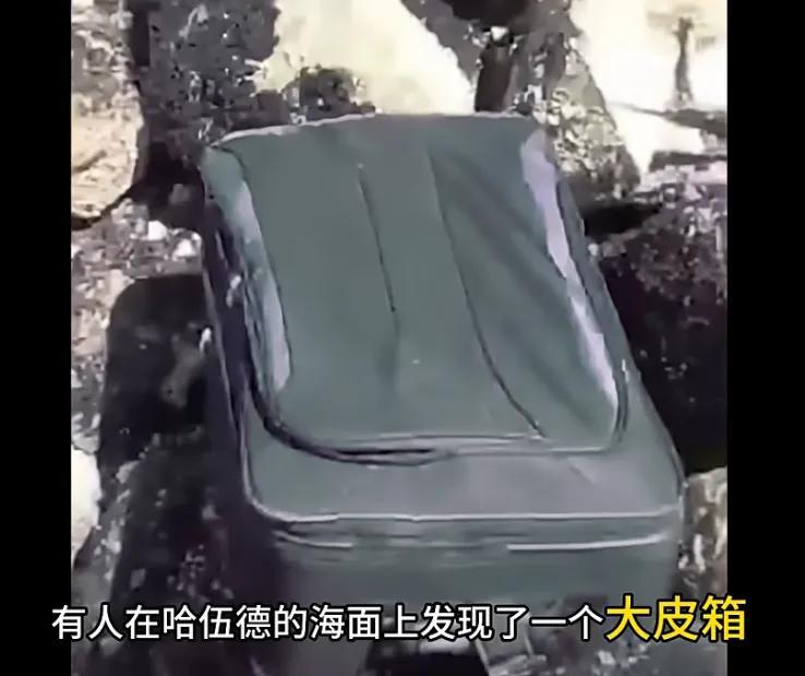 内容图片
