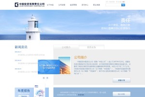 中投公司网站缩略图