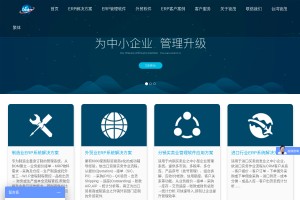 ERP系统网站缩略图