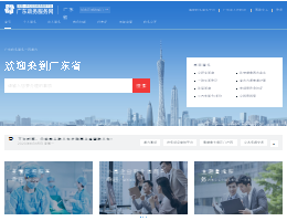 广东政务服务网网站缩略图