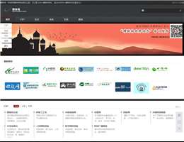 穆斯林网址大全网站缩略图
