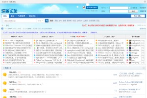 瑞客论坛网站缩略图