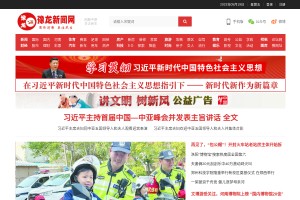 豫龙新闻网网站缩略图